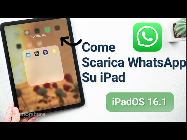 Come Scaricare e Installare WhatsApp su iPad丨2024