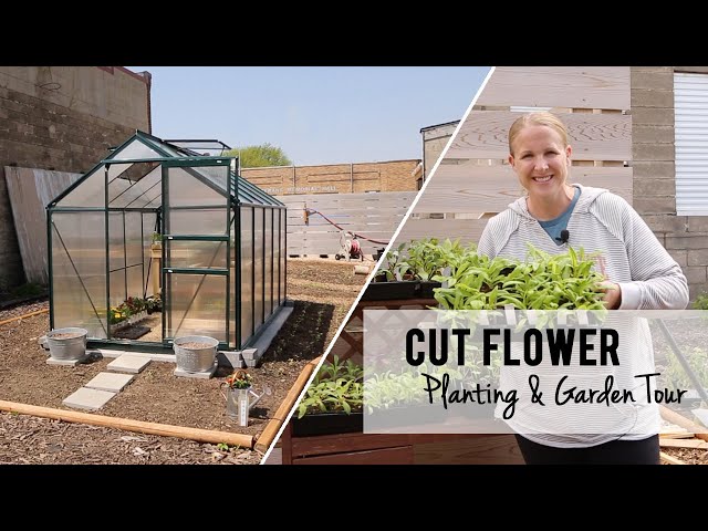 Cut Flower Garden Seedling Planting and Tour