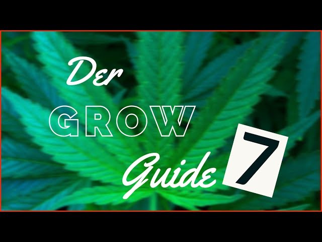 Indoor Growing Guide [07] - PH-Wert messen