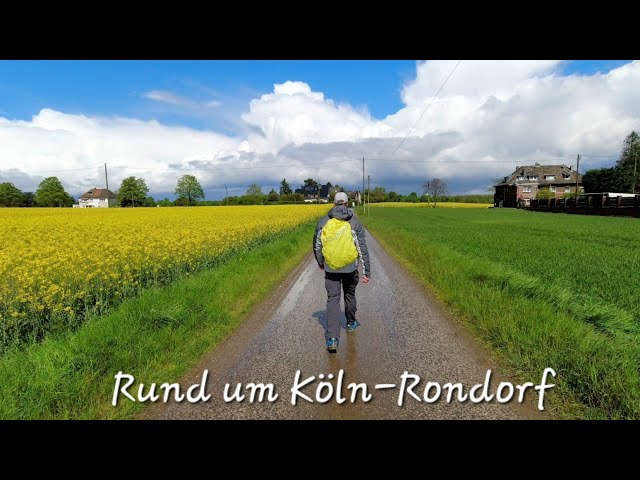 Rund um Köln-Rondorf  - Wanderung durch die alte Heimat #köln #cologne #wandern #hiking #wanderweg