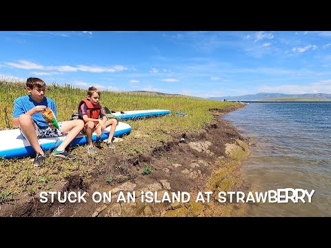 Paddle boarding on Strawberry Reservoir, what could go wrong?