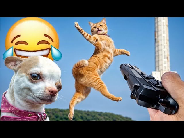 Cute animal Videos That You Just Can't Miss😻🐕‍🦺Part 13