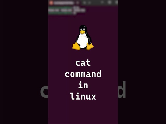 5/10 Basic Linux Commands | cat command in linux #shorts #linux #linuxcommands