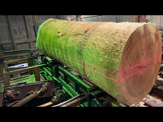 Saw-milling a 32 Inch Diameter Poplar Log! #38