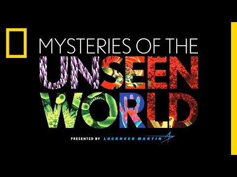 Mysteries of the Unseen World | National Geographic