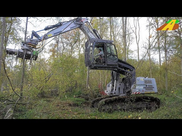 Waldpflege - Raupenbagger & Greifersäge Durchforstung, Baumfällung, tree cutting forest machines
