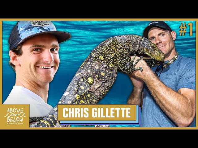 Above & Below; A Salt Life Podcast: Wildlife Biology feat. Chris Gillette
