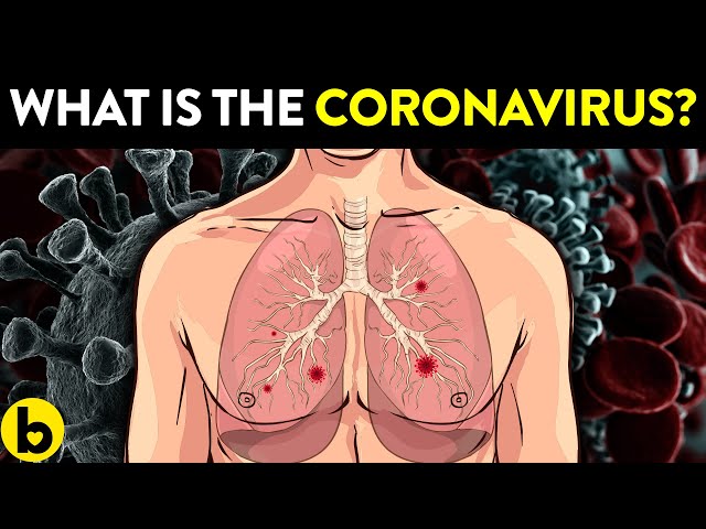 6 Very Important Things To Know About The Coronavirus