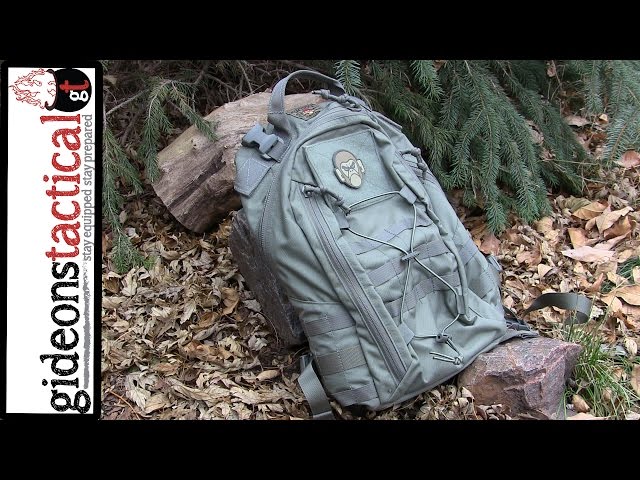 MSM Adapt Pack Review: Ready For Anything