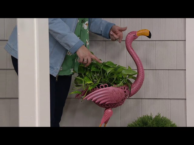 Plow & Hearth Standing Animal Planter With Coco Liner on QVC