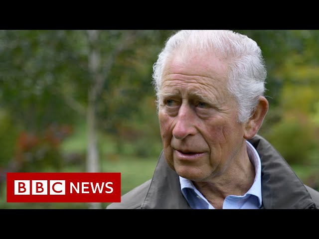 Prince Charles tells BBC his Aston Martin runs on wine and cheese - BBC News