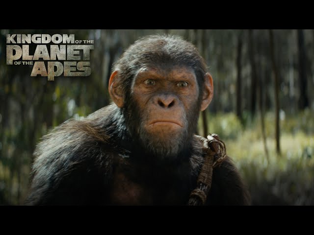 Kingdom of the Planet of the Apes | Exclusive Special Look | Experience It In IMAX®