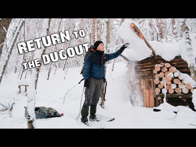 Has the DUGOUT survived after HEAVY SNOWFALLS? | Return to THE FOREST HOUSE | Making a WINDOW