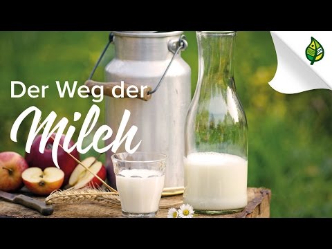 Der Weg der MILCH in Österreich (6 Episoden)
