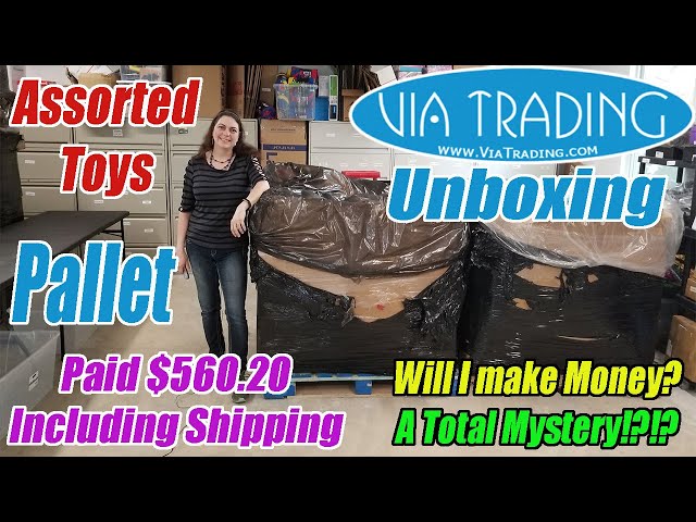 Via Trading Pallet Unboxing - Assorted Toys - Unmanifested - What did I get? - Will I Make Money?