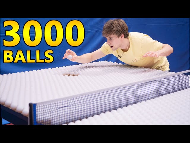 The Most Satisfying Ping Pong Challenge
