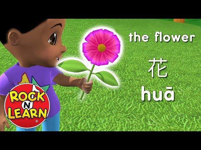 Learn Chinese for Kids - Food, Activities & Animals
