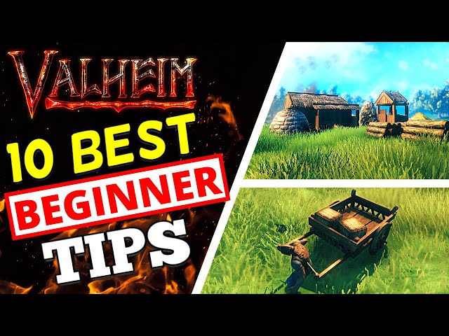 Valheim - BEST BEGINNER TIPS!