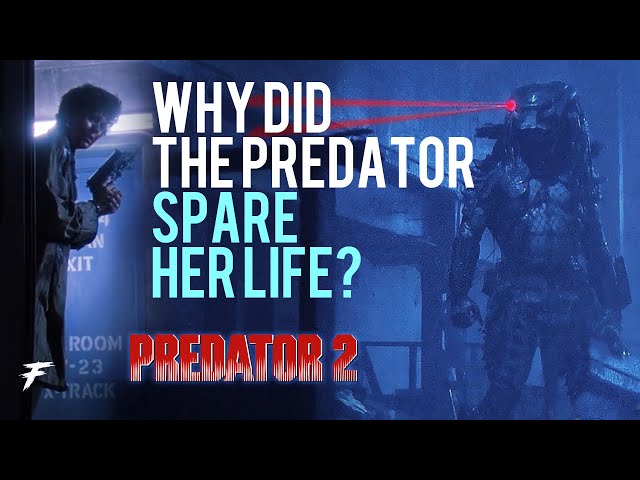 Why Predator Spared HER LIFE!!? #aliens