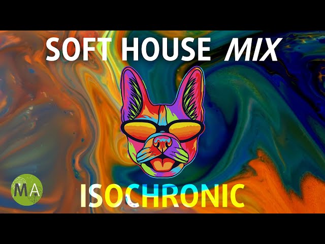 Soft House Upbeat Study Music + Isochronic Tones - French Bulldog Mix