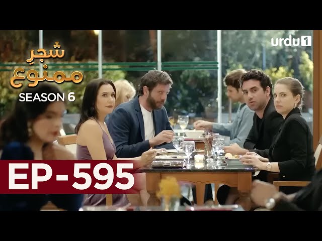 Shajar-e-Mamnu | Episode 595 | Turkish Drama| Forbidden Fruit | Urdu Dubbing | 2 October 2023