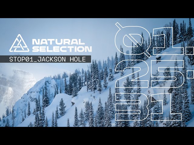 Natural Selection Returns to Jackson Hole, WY