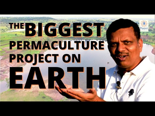 India's Water Revolution #2: The Biggest Permaculture Project on Earth! with the Paani Foundation