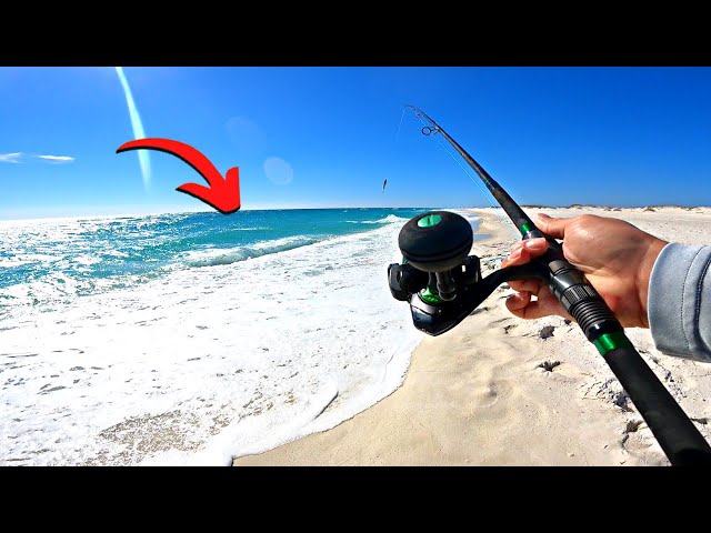 Chasing a School of FISH at the BEACH **Bonito Catch and Cook**