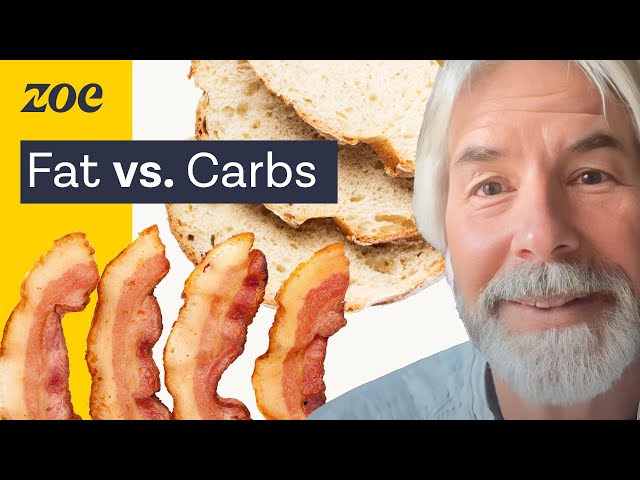 The keto diet uncovered: The truth about fat vs. carbs | ZOE Dailies with Christopher Gardner