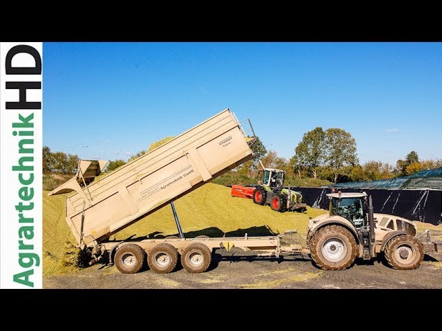 Chopping maize for biogas plant | Claas tractors | Claas Jaguar harvester | farming