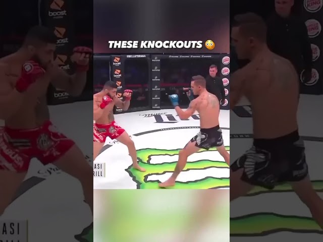 Best knockouts ever in MMA