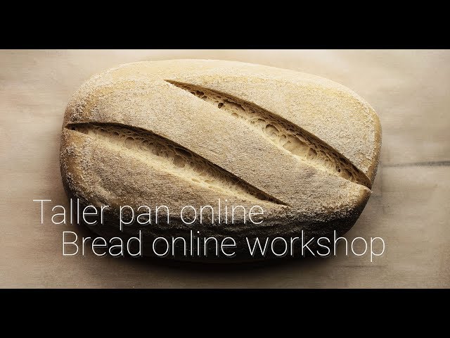 Trailer taller pan online - Online workshop trailer