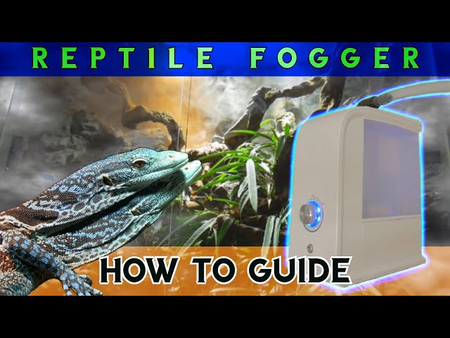 The complete Reptile Fogger DIY guide – what you need to know!