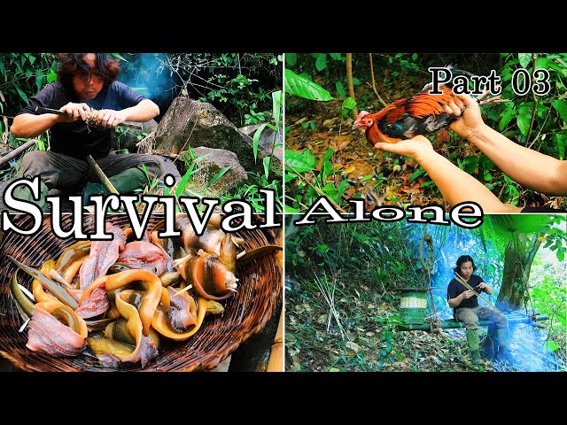 60 Days Alone: Survival Skills in the Rainforest | Part 03