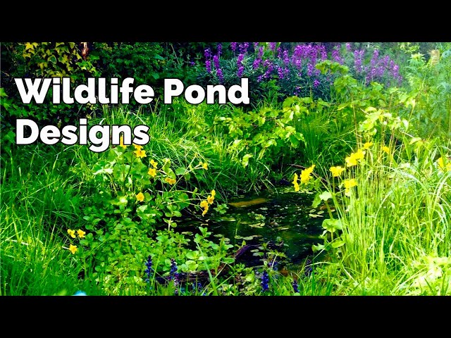 Natural Wildlife Ponds - Designs and Creations - 4K