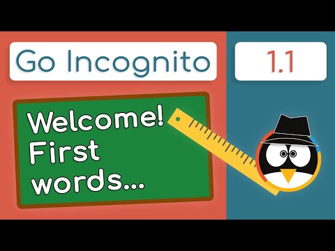 Welcome to the Course | Go Incognito 1.1