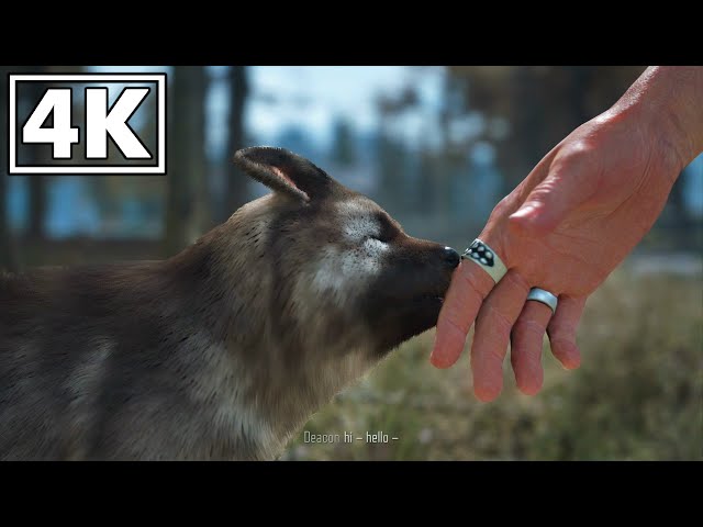 Dog Death & Puppy Cutscene In DAYS GONE | All Dog Cutscenes | 4K PS5 Gameplay 🎥