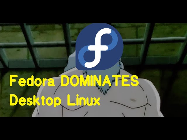 Why Fedora DOMINATES Desktop Linux
