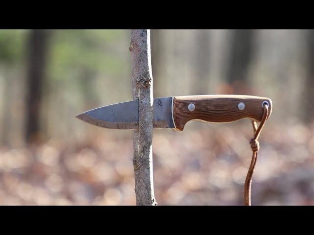 The Old-time Woodsmen Never Told You About this One! Traditional Woodworking, Bushcraft Hack