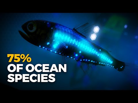 Why Is (Almost) All Bioluminescence in the Ocean?