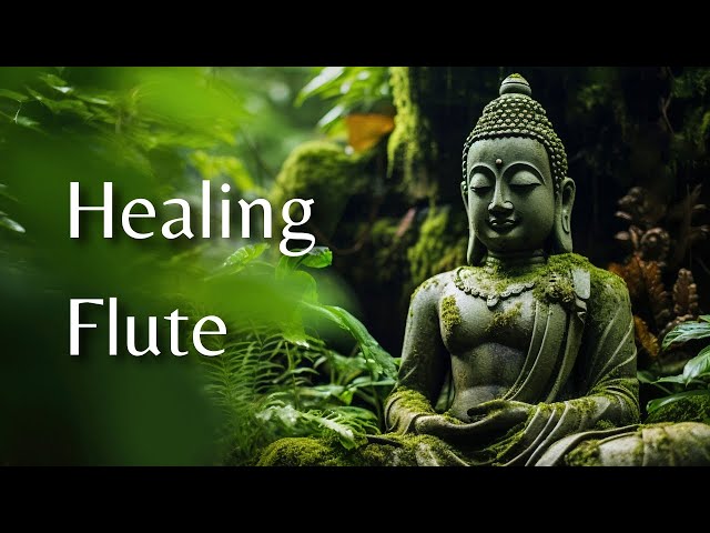 Healing Flute | Buddha Flute Meditations for Inner Peace
