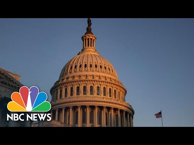 Senate Holds First Hearing On Capitol Riot | NBC News