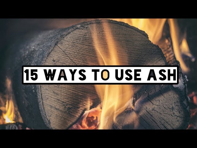 15 Ways To Reuse Ash