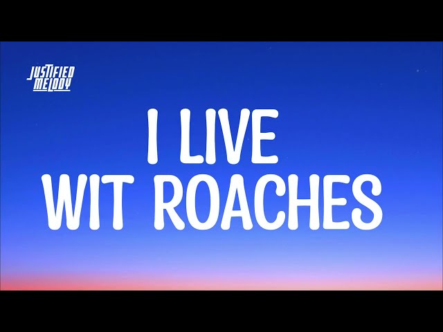 I Live With Roaches Tiktok Song Lyrics