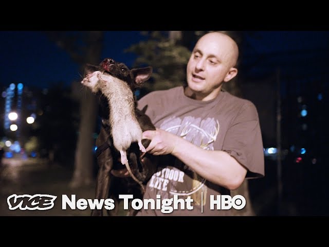 The Vigilante Group Of New Yorkers Who Hunt Rats At Night