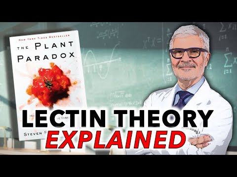 Dr. Gundry's The Plant Paradox - Lectin Theory, Explained | Ep45