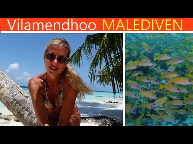 VILAMENDHOO - 4K - Dive and Relax / Highlight der Malediven