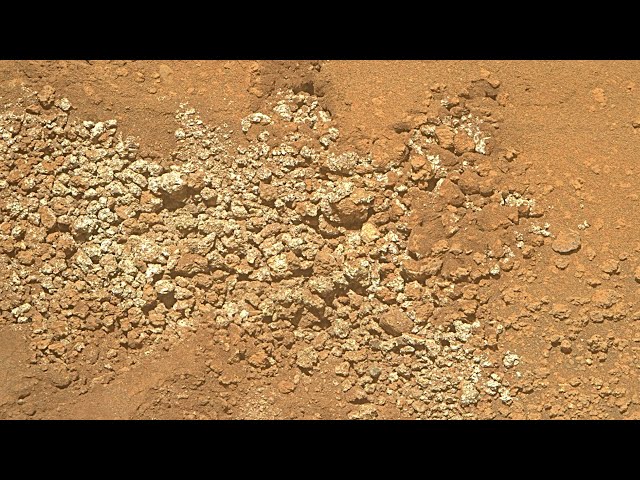 Martian Impact Breccia exhibits unique mineral assemblages