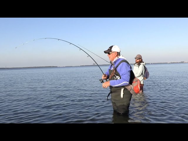 WADE FISHING: How To Catch Redfish & Trout After A Cold Front