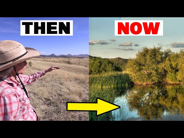 How This Woman Turned Arizona's Desert into a Farmland Oasis